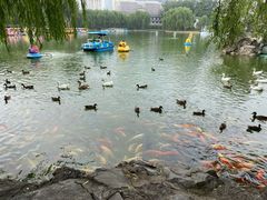 -团结湖公园