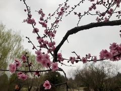 -无锡梅园公园