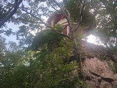 -沈阳辉山风景区