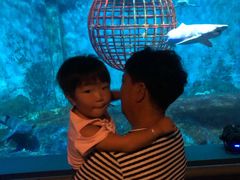 -大连圣亚海洋世界