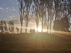 -东郊湿地公园