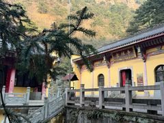 -九华山风景区