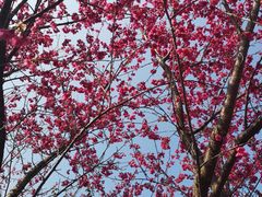 -福清灵石山国家森林公园