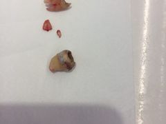-欢乐口腔医院(顺义分院)