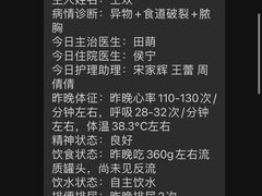 -美联众合动物医院·24h转诊中心