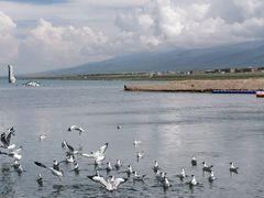 -青海湖国家重点风景名胜区