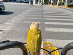 -健身专家Wellness Experts