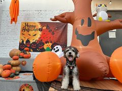 -小意思咖啡店(草桥店)