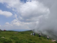 -芦芽山旅游度假区