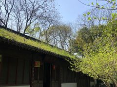 -吴山景区