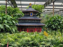 -南宫五洲植物乐园