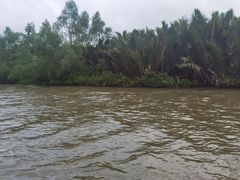 -东寨港红树林旅游区