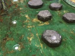-上海大自然野生昆虫馆(东方明珠·爬宠昆虫探索中心)