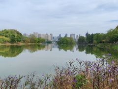 -洋湖国家湿地公园