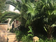 -抚仙湖万达文华酒店