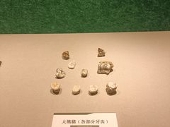 -浙江自然博物院(杭州馆)