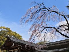 -热田神宫