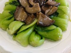 香菇菜心-老正兴菜馆(福州路店)