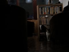 -隅cafe(傅厚岗店)