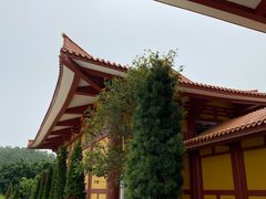 -三水森林公园