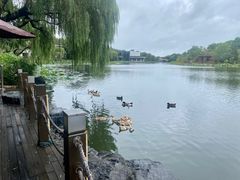 -上海怡沁园度假酒店