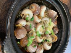 焗玉螺-小时候焗海鲜(鄞州万达店)