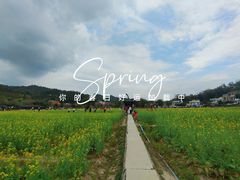 -红山村