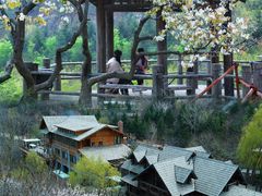 -九如山休闲旅游度假区
