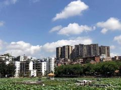 -潘塘公园