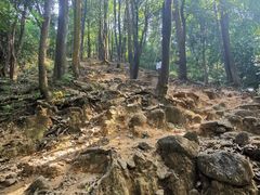 -火炉山森林公园
