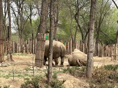 -北京野生动物园