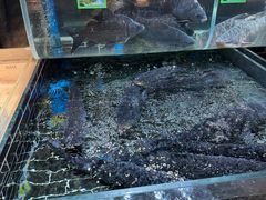 -老阿爸鲜鱼土菜(昆山花桥店)