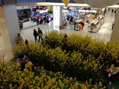 -天虹购物中心(石路店)