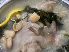 -胖娃滋补蹄花