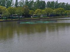 -上海师范大学(奉贤校区)