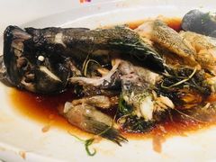 清蒸石斑鱼-鱼乐轩·俄罗斯海鲜直供餐厅(群力店)