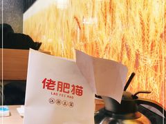 -佬肥猫(周浦万达店)