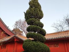 -开封府