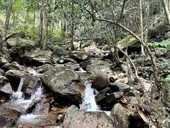 -姑婆山旅游区