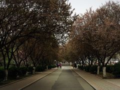 -山东师范大学(千佛山校区)
