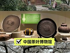 -中国茶叶博物馆(双峰馆区)