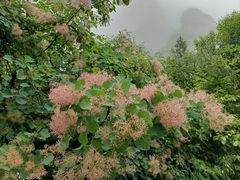 -神农山景区