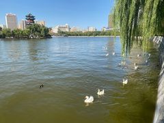 -迎泽公园