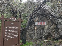 -阳台山自然风景区