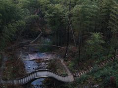 -白茶原·一片叶子