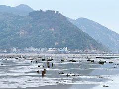 -北岐滩涂