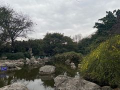 -神仙树公园