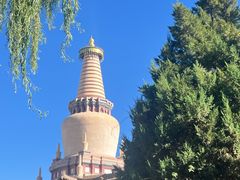 -张掖大佛寺景区