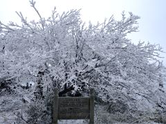 -长沙黑麋峰国家森林公园