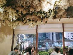 -泰尚臻Siam Essence